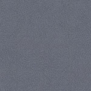 0039 SPIDER BLUE