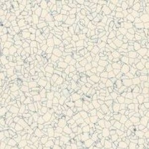 0605 - White