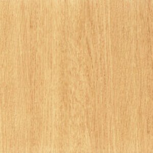 1003 Arcy Chamois