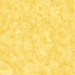 1104 Cheese