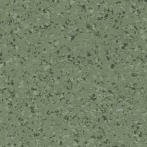 4457 - Olivine