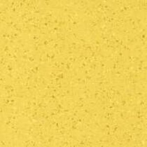 5322 - Zest