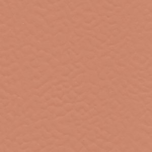 6157 ROSA