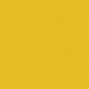 6211 GOLD