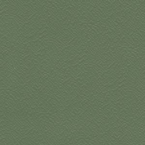 6264 OLIVE