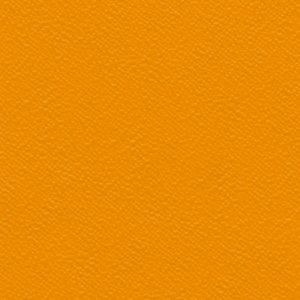 6269 ORANGE