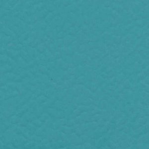 6431 TEAL