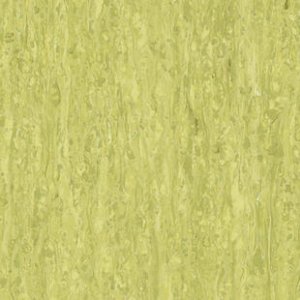 iq-optima-optima-yellow-green-0254