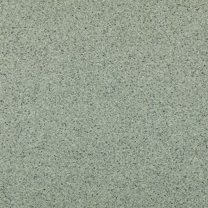SOC 3231